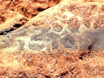 Full frame shot of white surface