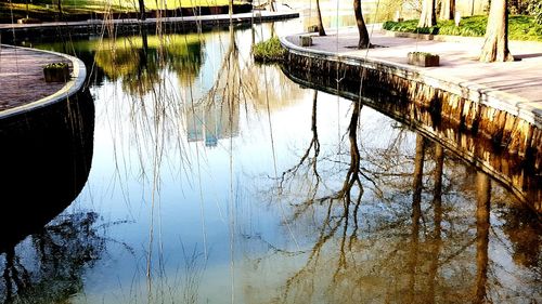 Reflection of trees in water