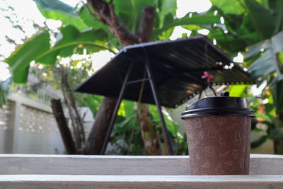 Close-up of small potted plant on railing