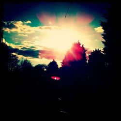 Sun shining through trees