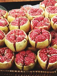 Close-up of red berries