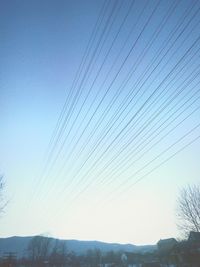 Low angle view of birds against clear blue sky