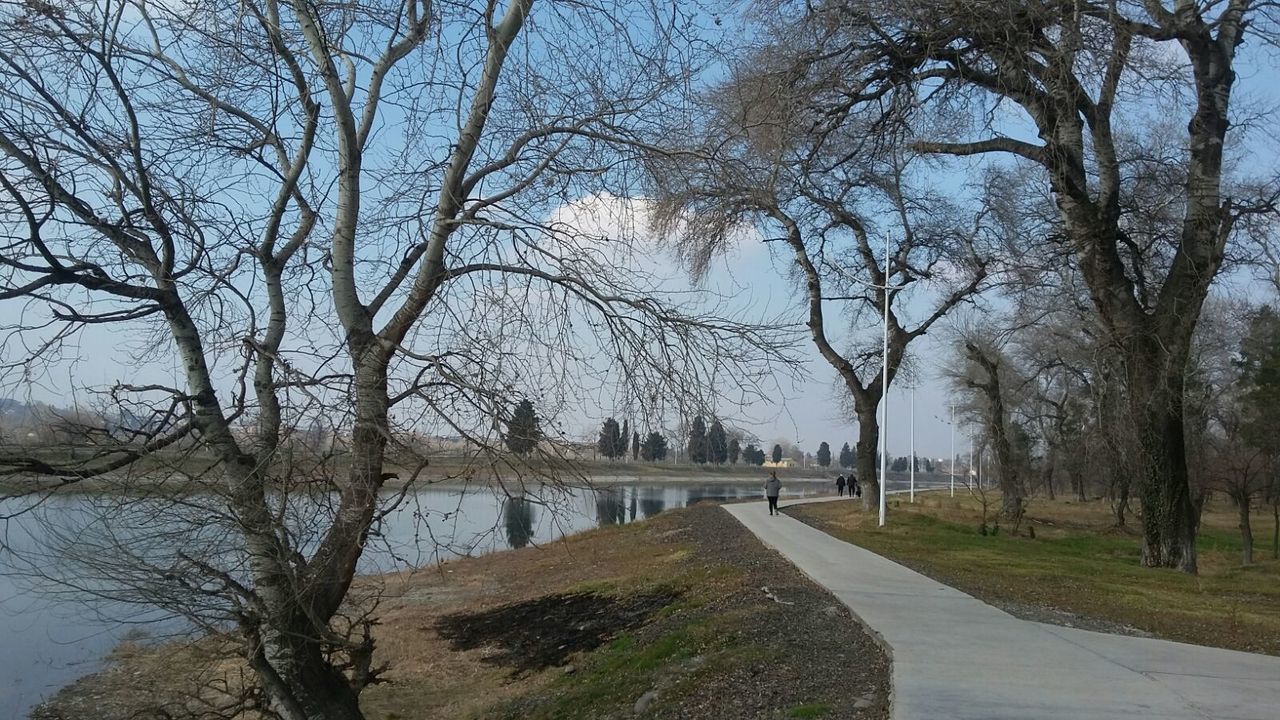 tree, bare tree, water, tranquility, tranquil scene, the way forward, branch, lake, nature, river, scenics, sky, beauty in nature, grass, day, clear sky, outdoors, reflection, landscape, no people