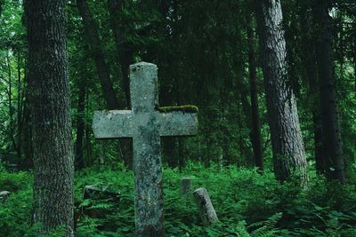 Cross on tree trunk