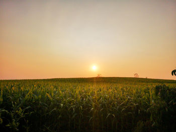 Scenic view of field against sky during sunset