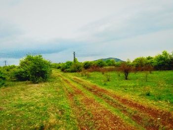 Scenic view of grassy field against sky