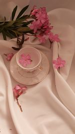 High angle view of pink flowers on table