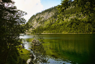 Scenic view of lake by trees against sky