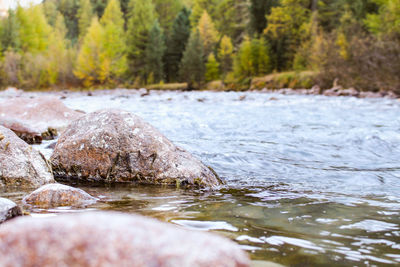 Close-up of rocks by river