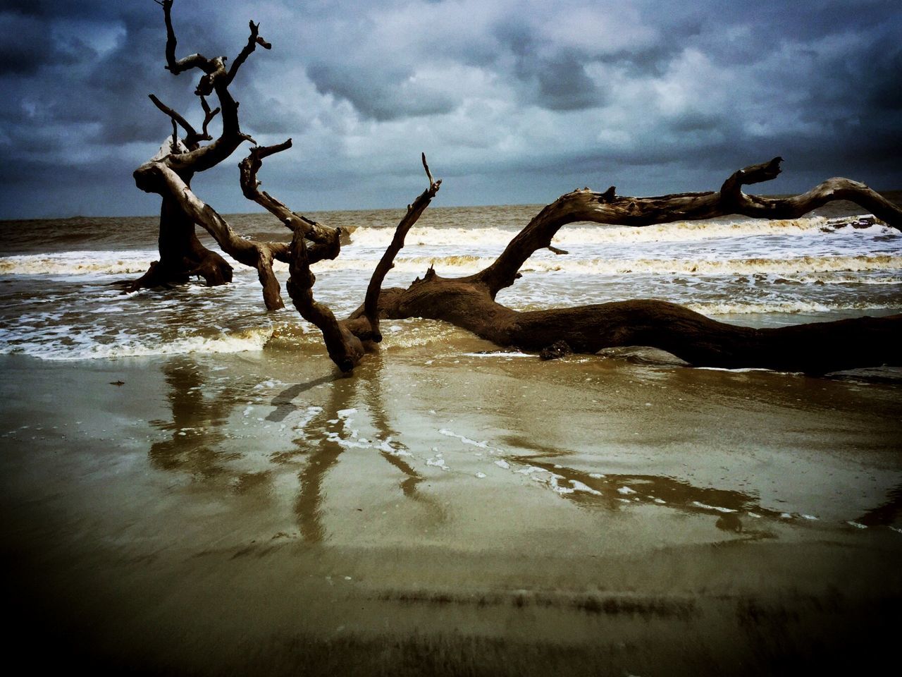 water, sky, tranquility, cloud - sky, sea, tranquil scene, beach, nature, shore, scenics, beauty in nature, bare tree, cloudy, horizon over water, reflection, cloud, branch, sand, dead plant, outdoors