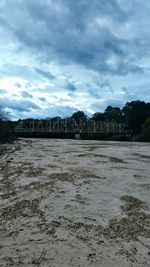 Trees against cloudy sky