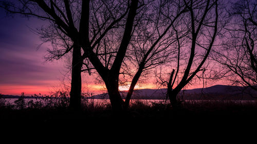 Silhouette trees on landscape against romantic sky at sunset