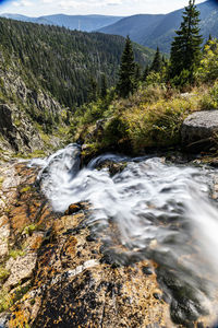 Stream flowing through rocks