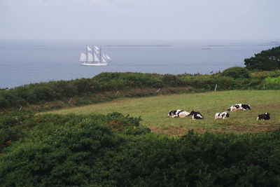 Scenic view of sea against sky