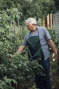 Gardener looking at plants in garden