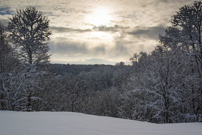 Bare trees on landscape against cloudy sky