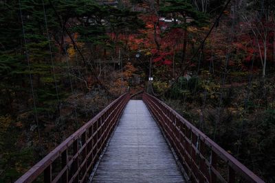 Footbridge amidst trees in forest during autumn