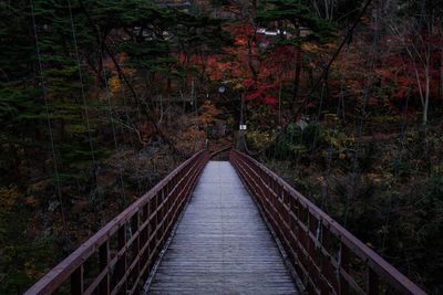 Footbridge amidst trees in forest during autumn