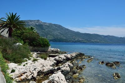 Scenic view of sea against clear sky