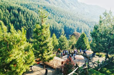 Scenic view of people standing in park