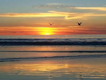 Scenic view of sunset over sea