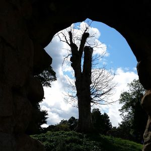 Low angle view of silhouette trees against sky