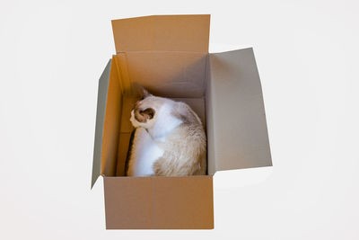 box