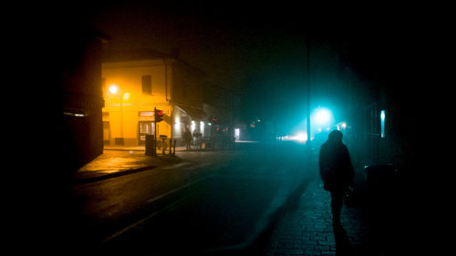 Rear view of person walking on illuminated street at night