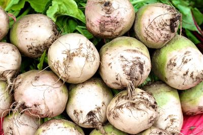 Close-up of radishes at farmers market