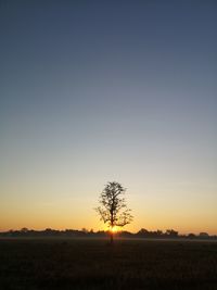 Silhouette trees on field against clear sky during sunset