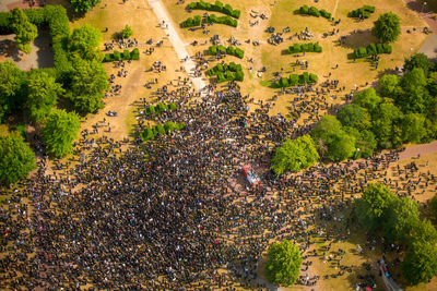 High angle view of trees on field