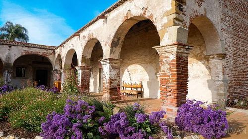 Purple flowering plants against old building