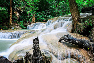 Waterfall in forest