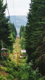 Overhead cable car in forest