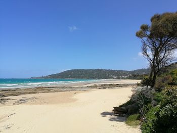 Scenic view of beach against blue sky