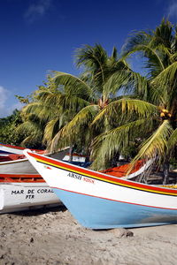 Boats moored by coconut palm trees at beach against sky