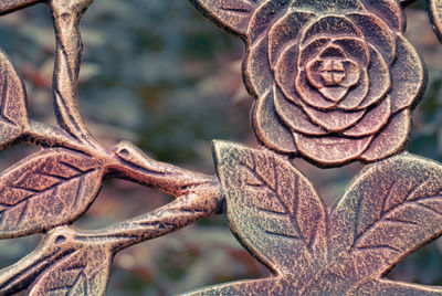 Close-up of dried leaves