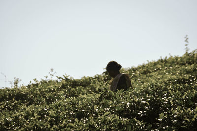 Woman on field against clear sky