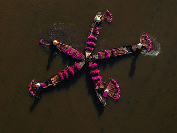 High angle view of woman standing in water