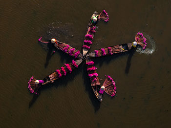 High angle view of woman standing in water