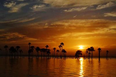 Silhouette of people on sea during sunset