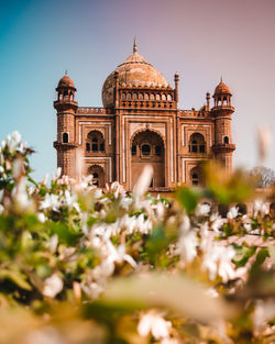 Safdarjung tomb, delhi, india 