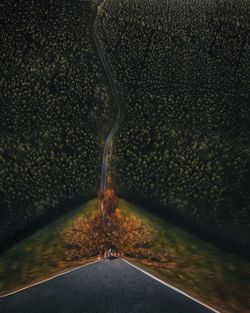 Digital composite of empty road amidst trees in forest