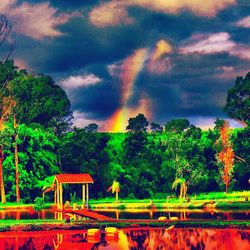 Scenic view of rainbow over trees