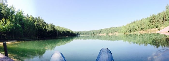 Reflection of trees in calm lake