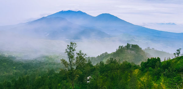 Scenic view of tree mountains against sky