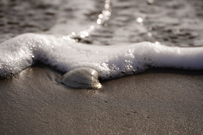 Close-up of wet sand on beach