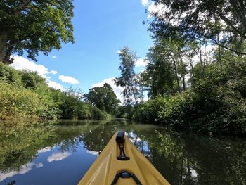 Canal amidst trees in forest against sky
