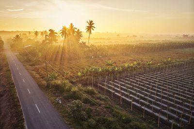 Aerial view over the farm village during sunrise