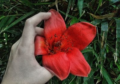 Close-up of woman with red flower